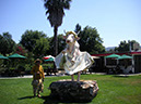 Napa Valley Winery